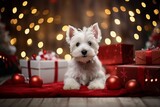 Fototapeta Zwierzęta - West Highland White Terrier dog between christmas presents