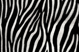 Fototapeta Konie - Abstract Seamless Zebra Skin Pattern Background