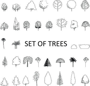 Set of trees, bushers, line trees
