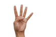 © Firyal Ramzy - hand isolated on white, four fingers, counting four
