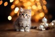 Cute fluffy persian kitten on christmas with golden xmas tree