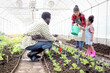 Happy family in vegetable garden at countryside, Asian mother, African father and curly haired girl kid daughter work in farm together. Watering, shoveling soil, weeding and caring agricultural plants
