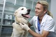 © Postproduction - Veterinarian in white coat smiling at large white dog during medical check. Animal clinic scene.