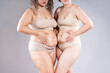 Tummy tuck, two fat women with flabby bellies on gray background, plastic surgery and body positive concept