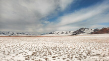 Panorama Of The Snow-covered Steppe With Mountains On The Horizon. Mountain Pasture Covered With Snow.