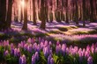 Spring glade in forest with flowering pink and purple hyacinths  nature. 