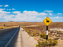Picturesque Llama Warning Road Sign Beside An Asphalt Highway, Salinas Y Aguada Blanca National Reserve, Arequipa Region, Peru
