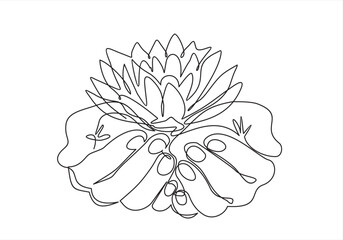 Poster - Continuous one line drawing of  hands holding Lotus flower. Vector illustration