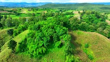 Atop Hills And Plateaus, Drone's Eye Beholds Nature's Canvas. Fields Cascade Like Emerald Waves, Farmers' Sweat Nourishes These Fertile Highlands. Cultivation Concept. Thailand.
