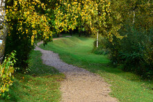 A Beautiful Path Over Which A Yellow Birch Is Leaning On A Sunny Day In Autumn