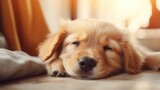 Fototapeta  - Young lazy dog sleep on floor. AI generated image