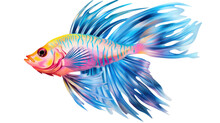 Fighting Fish On Transparent Background