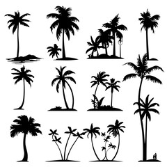 palm tree silhouettes