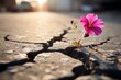 A resilient pink flower blossoming through the cracks of a war-torn road created with Generative AI technology