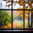 © driftwood - Raindrops on a windowpane with blurred autumn tree foliage background