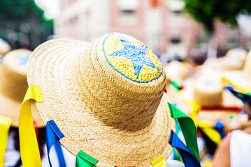 Wall Mural - Arraial do Pavulagem is a musical group that develops an artistic and cultural movement that occupies the streets of Belém do Pará with its popular and colorful processions in June and October