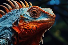 Close Up Of A Blue Iguana Pogona Vitticeps, Close Up Of Iguana Orange Blue, AI Generated