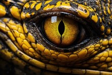 Close Up Of The Eye Of A Red Eared Turtle Trachemys Scripta, Close Up Of The Yellow Eye Crocodile, AI Generated