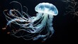  a jellyfish swimming in the water with a black background.  generative ai