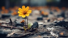  A Single Yellow Flower Is Growing Out Of The Ground In The Middle Of A Field.  Generative Ai
