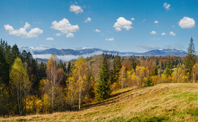 Wall Mural - late autumn mountain morning scene with snow covered tops in far and foggy clouds in valleys. pictur