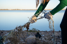 Unrecognizable Female Volunteer Pulling A Fishing Net Off The Rocks Of A Polluted Coastal Marine Wetland. Photo With Space For Text.