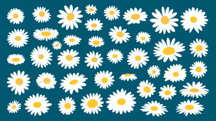 Sticker - Chamomile white flat flowers collection. Daisy bouquet, isolated flower on blue background. Decorative nature floral vector set