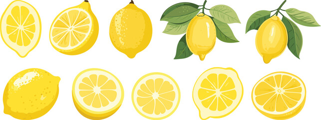 Wall Mural - Isolated citrus clipart, lemons slices, cut and on branch with green leaves. Fresh vitamin C food, lemon vector collection