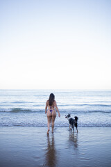 dog looking at his owner while bathing in the sea