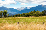 Fototapeta Przestrzenne - country side near Hokitika on the west coast of New Zealand