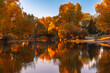 Buena Vista, Colorado in the fall