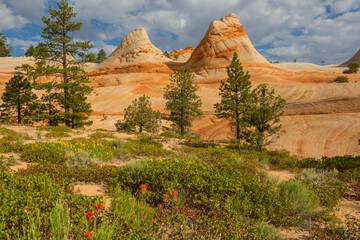 Poster - Utah landscapes