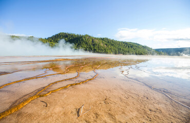 Wall Mural - Yellowstone