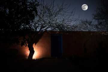 Wall Mural - full moon over quiet village at night. orange wall with blue metallic door at night. haunted horror 