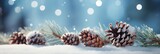 Fototapeta  - close up of pine branch with pine cones and snow with blue sky and bokeh lights and snowflakes, generative AI