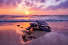  A Small Turtle Is On The Sand At The Beach As The Sun Sets.  Generative Ai
