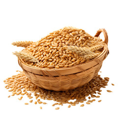 Wall Mural - Wheat grains on transparent background PNG