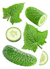 Wall Mural - Cucumber isolated on white background