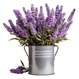 Fototapeta Lawenda - A Lavender Bouquet in a Rustic Tin Can Isolated on Transparent or White Background, PNG