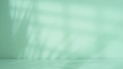 Poster - background with curtains and palm leaf shadow