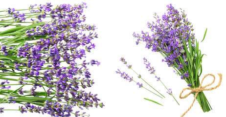 Wall Mural - lavender flowers isolated on white background. bunch of lavender flowers.