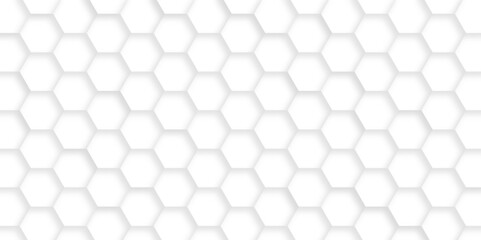 Wall Mural - Abstract hexagon geometric surface. Modern white and grey hexagonal background. Luxury white pattern. Vector Illustration.