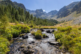 Fototapeta  - The picturesque valley with stream in the Maritime Alps in the municipality of Vinadio, province of Cuneo, Piedmont, Italy