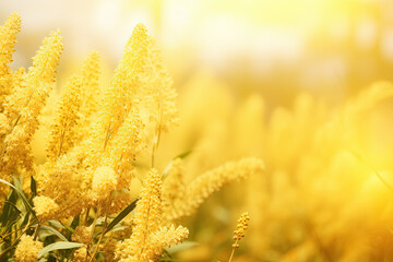 Sticker - Warm goldenrod background, ideal for soft summer designs