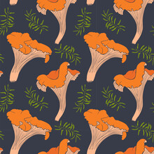 Chanterelles And Moss Pattern On Dark Background. 