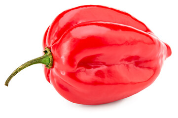 Wall Mural - red habanero chili hot peppers isolated on white background. clipping path