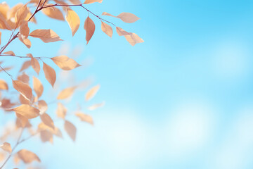 Poster - Light sky blue autumn background