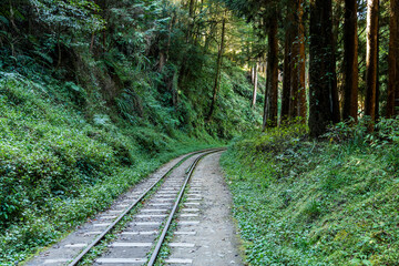 Wall Mural - The old forest railway section of the Shuishan Trail at Alishan Forest Recreation Area in Chiayi, Taiwan. Now obsolete and unable to operate.