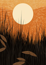 Grass Background Sunset Landscape Nature Illustration