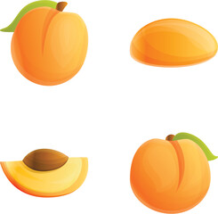 Poster - Apricot icons set cartoon vector. Fresh ripe fruit. Healthy organic nutrition